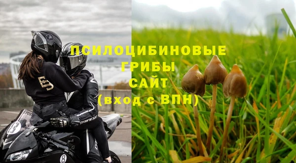 гидропоника Навашино