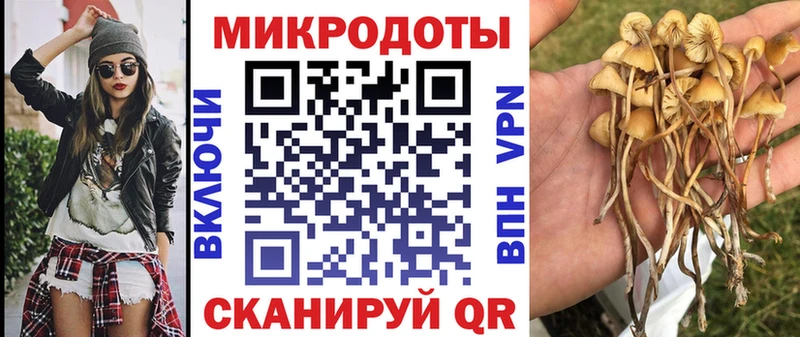 где купить   блэк спрут зеркало  Галлюциногенные грибы Psilocybe  Якутск 