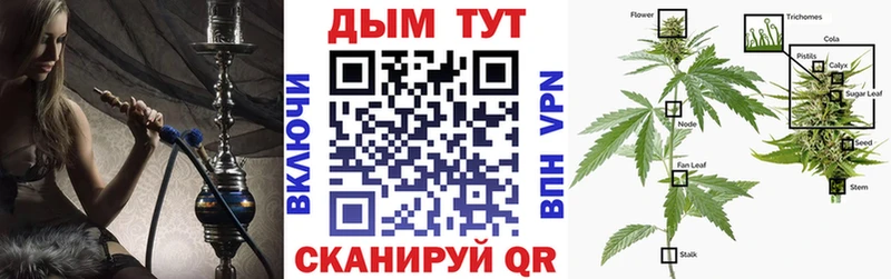 МАРИХУАНА семена  ссылка на мегу онион  Якутск 